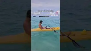 Developers on vacation  #programmerhumor #developer