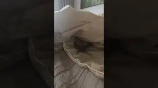 Когда отключили отопление ❄️