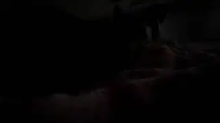 Cat demands pets ￼