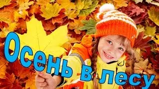 Осень в лесу