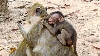 Oops! Fighting Mia! Why Maria Angry Little Girl Mia Like this! What's Wrong!