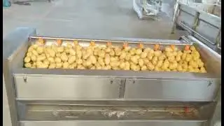 Potato cleaning and peeling machine#machine