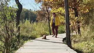 Первая прогулка Джоя