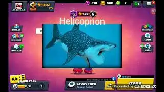 nesli tükenen hayvanlar part 3