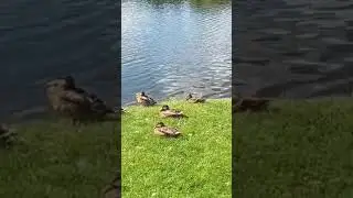 Люди!Берегите природу! Мать вашу!