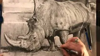 Come disegnare un rinoceronte parte 15