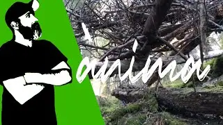 Ànima II (16/09/2020 update #1) - land art sculpture in a Norwegian forest