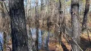 Reservoir And Pond