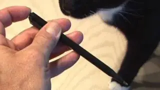 The Simple Stink Pen!