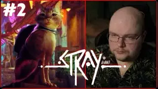 [#2] Загадки - Stray (Нарезка стрима zhenya_dota2)