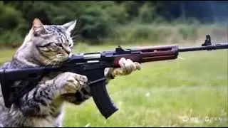 Сильвестр Котлонэ представляет новый фильм: Неудержимые: Шерсть на стволе.😸👍