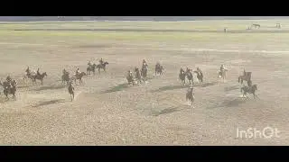бузкаши дар нохияй н нуробод  27 11 2022