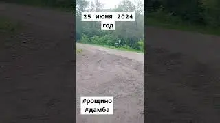 #паводки #приморье #рощино #наводнение #чс #острожно #разлив #уссур #уссурка #река #деревня #срочно