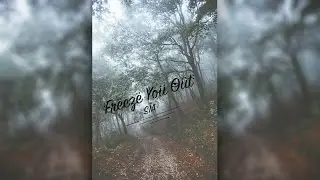 Sia - Freeze You Out (Cover)