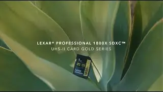Lexar® Professional 1800x SDXC™ UHS-II Card GOLD Series