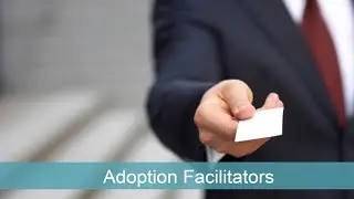 What is an Adoption Facilitator?