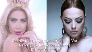 Gharibi Hal Denyi/Seninle Çok Işim Var - Nawal El Zoghbi & Ebru Gündeş - Dj Moussa Remix