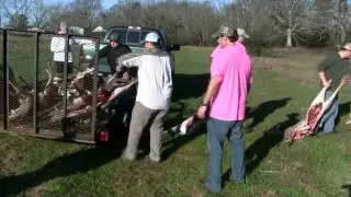 Doe Down Throw Down, 2015