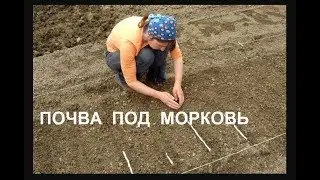 Морковь .Особая подготовка почвы под посев