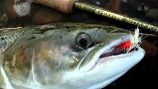 Carp Fishing Tips - Learn Everything About Carp Fishing Easy