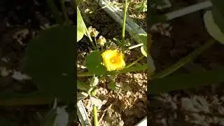 A natureza é perfeita em cada detalhe.