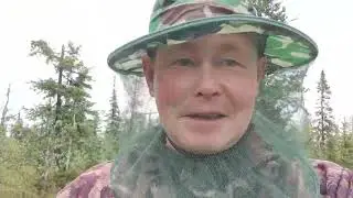 Дары Ямальского леса