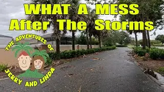 The Aftermath of Debby