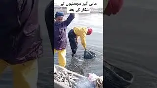 Fisherman In Ibrahim Haydri Sea #fish #karachifish #fishing #seafood