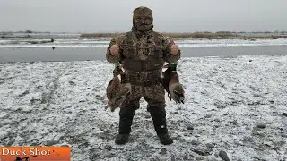 Охота на утку! Удачная вечерка! Сборка охот сезона 2020-2021.