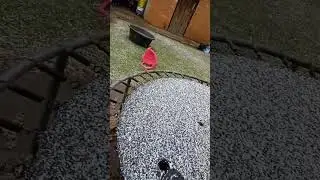 Snow in South Africa after 12 years !!