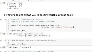Arbitrary number imputation with Feature-engine