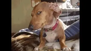 What are you doing Step Killer?