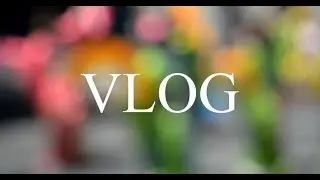 VLOG The Long Dark Новая Локация