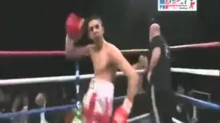 Boxer Tanzt