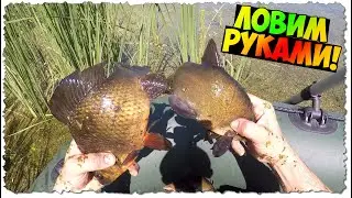 Это БОМБА!!! / Ловля ЛИНЯ и КАРАСЯ руками в БОЛОТЕ