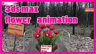Cool Flower plugin Grow Fx for 3ds max \ 3ds max camera match\ Boujou to 3ds max\ Camera match