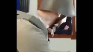 кадры из киева зеленский об Долбался