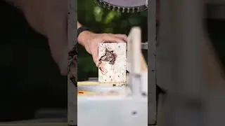 150 Photo Stop Motion Wood Burl - Mesmerizing