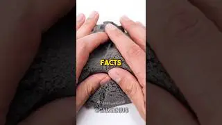 Random Facts 🤯 
