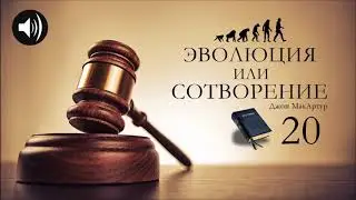 Эволюция или Сотворение | 20 | Джон МакАртур