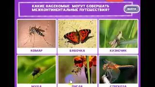 ОТВЕТЫ игра "В мире животных-2" 1, 2, 3, 4, 5, 6, 7, 8, 9, 10 уровень. одноклассники.