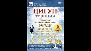 Цигун-терапия. Японская оздоровительная система Ниши.