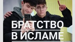 Наилучший друг / дружба в исламе