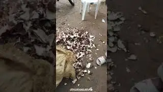 chulitos de Yuca...Ummm quw riiico