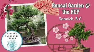 Nature in Miniature: Explore Canada’s Most Unique Bonsai Garden at the HCP