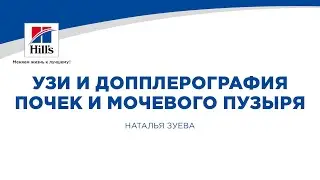 Вебинар на тему: 