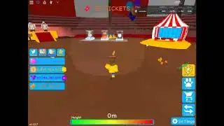 maxing pet