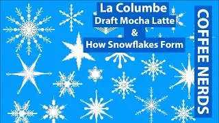 Coffee Review: La Columbe Draft Mocha Latte