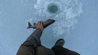 Отличный день на рыбалке! Трофейный хариус на удочку
