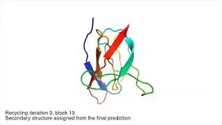 AlphaFold's highly accurate protein structure prediction